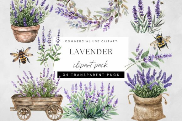 Enhance Designs with Lavender Botanical Clipart PNG