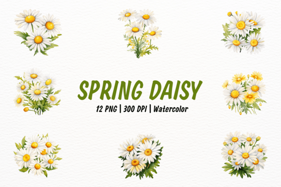 Spring Daisy Clipart: Elevating Your Designs with Delicate Watercolor Art